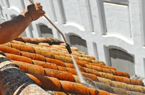 Démoussage de toiture à Fercé